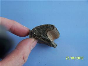 CEMEX_0301: Roman Pottery
